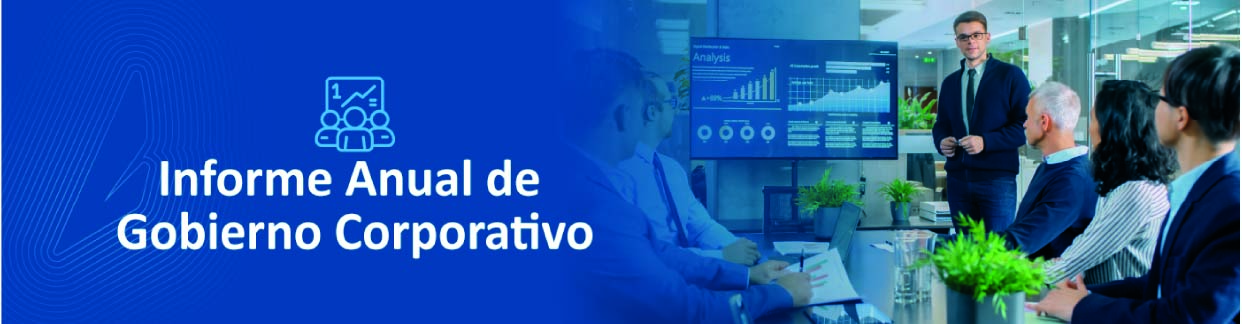 Informeanualgc